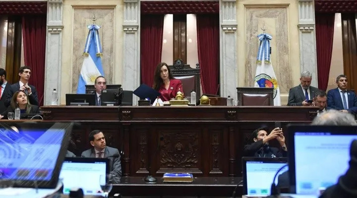 senado_ficha_limpia.jpg_420709568